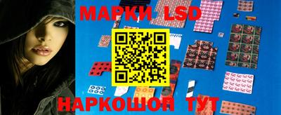 эйфоретик Тара