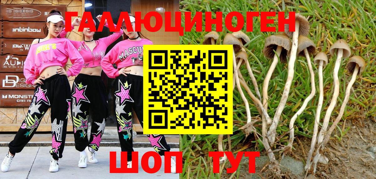 Псилоцибиновые грибы мицелий Саянск