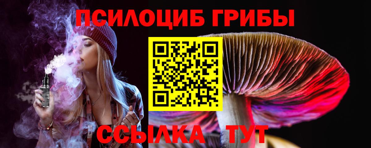 Галлюциногенные грибы прущие грибы  Псилоцибиновые грибы мухоморы  Саянск  Вход с VPN 